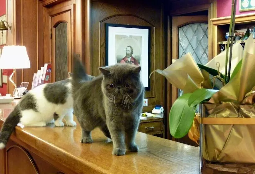 Fotos del hotel Città Dei Mille:  24