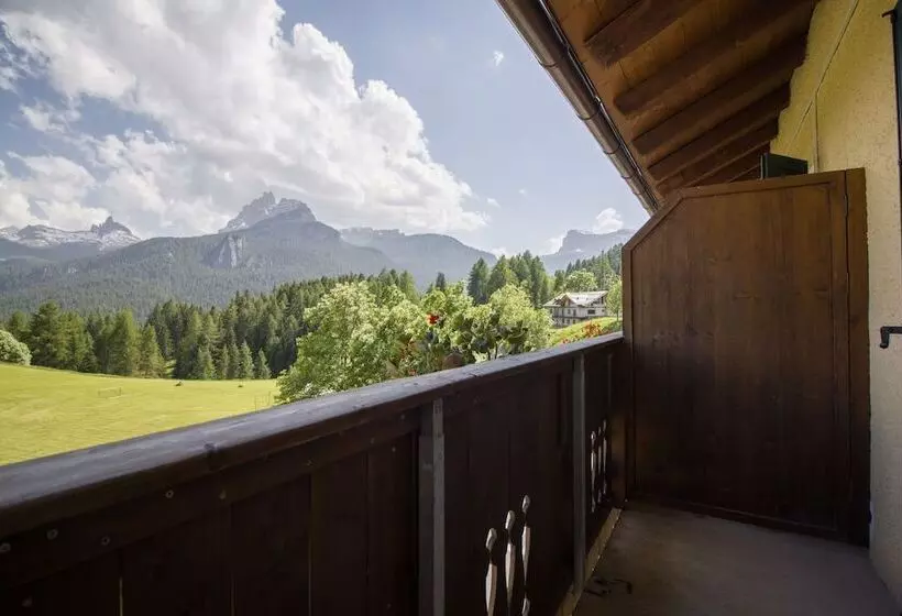 Fotos del hotel Villa Argentina:  11