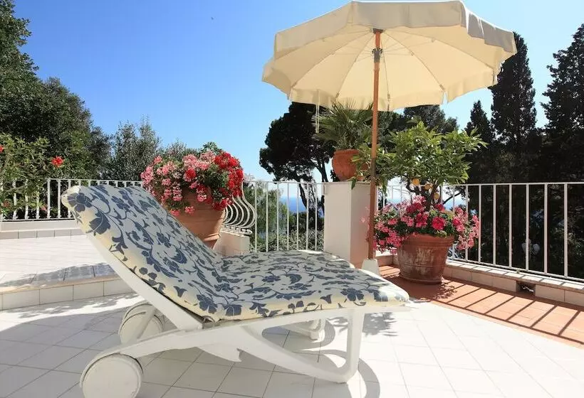 Fotos del hotel Villa Brunella:  11