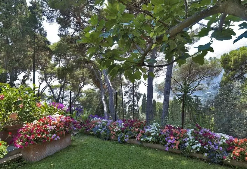 Fotos del hotel Villa Brunella:  23