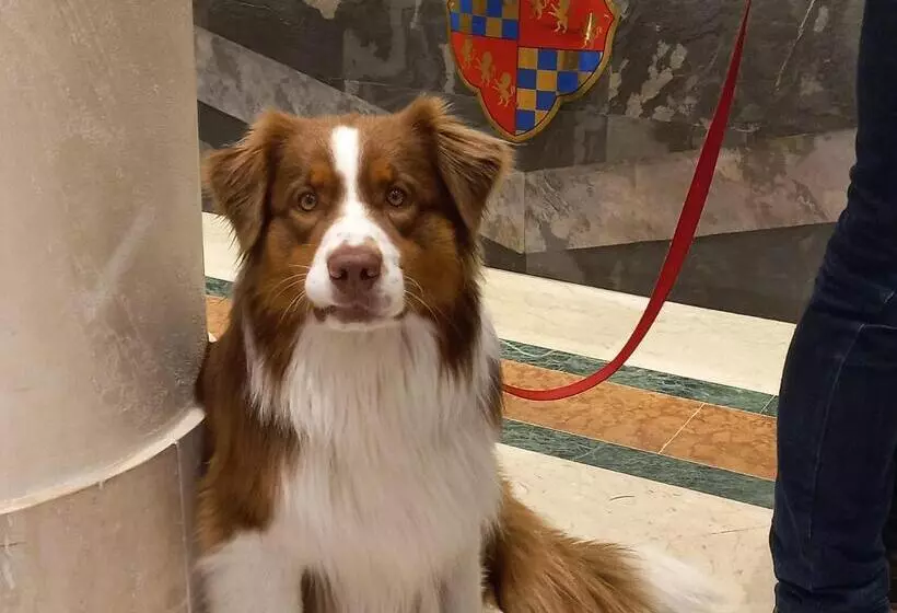 Fotos del hotel Grand Hotel Adriatico:  55