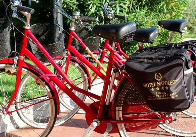 Fotos del hotel Napoleon:  9