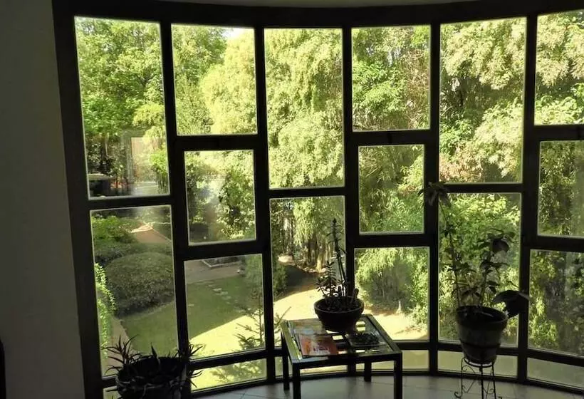 Fotos del hotel Deco:  17