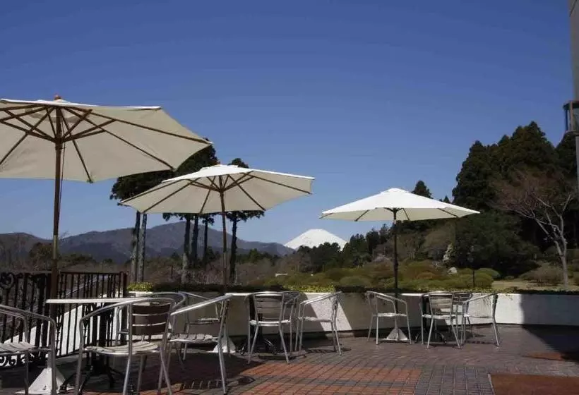 Fotos del hotel Odakyu Hotel De Yama:  14