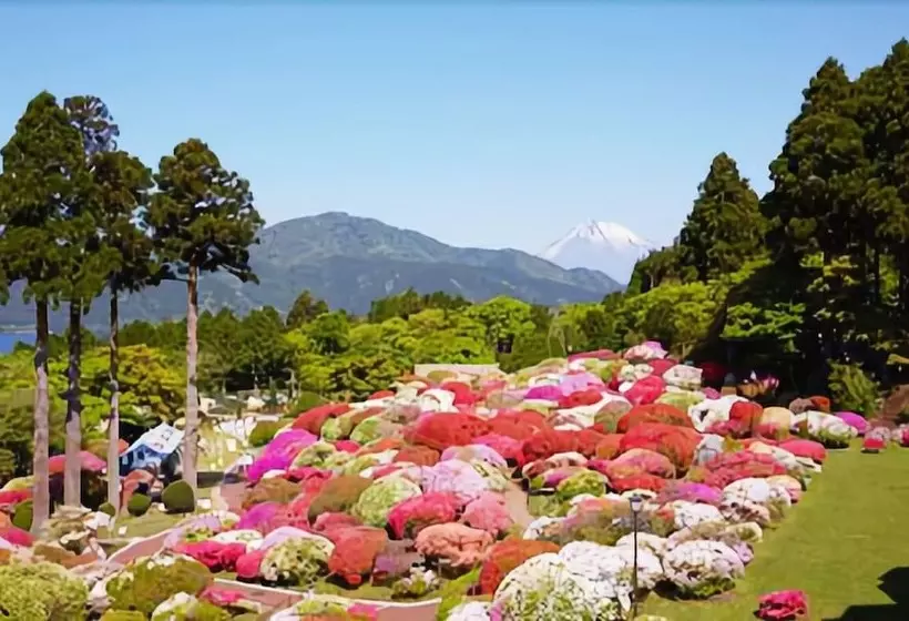 Fotos del hotel Odakyu Hotel De Yama:  18