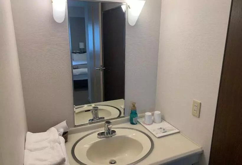 Fotos del hotel Royal Stay Sapporo:  9