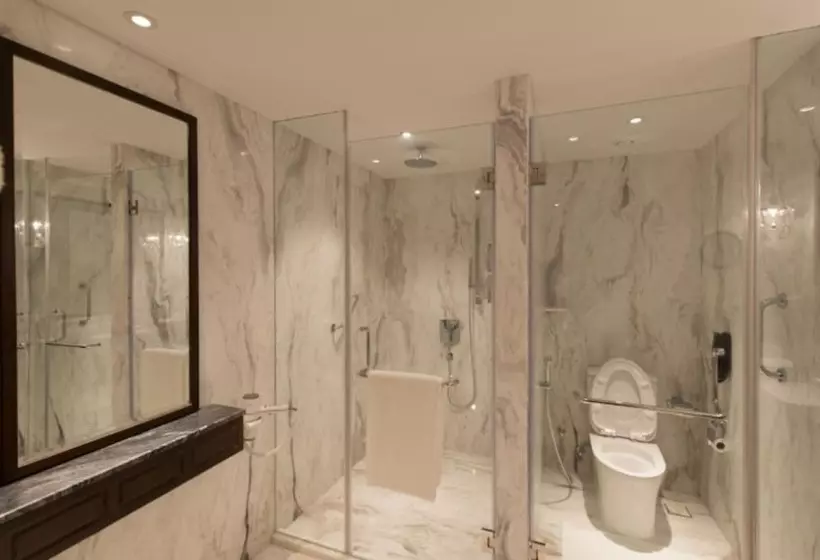 Fotos del hotel Taj West End:  17