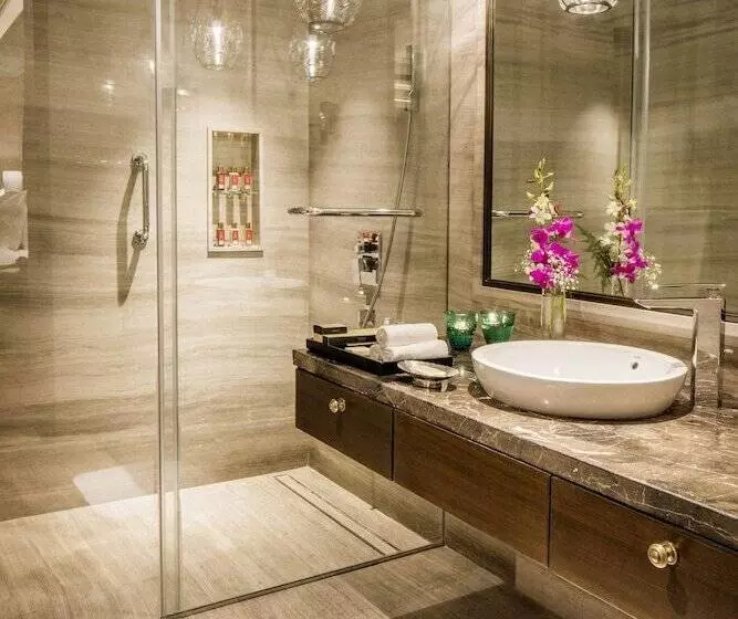 Fotos del hotel Taj West End:  9