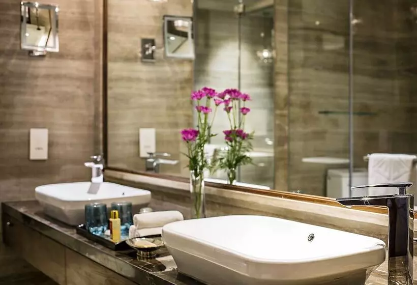 Fotos del hotel Taj West End:  24