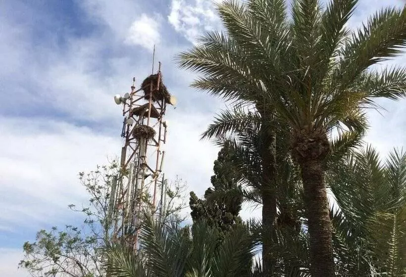 Fotos del hotel Chems:  13