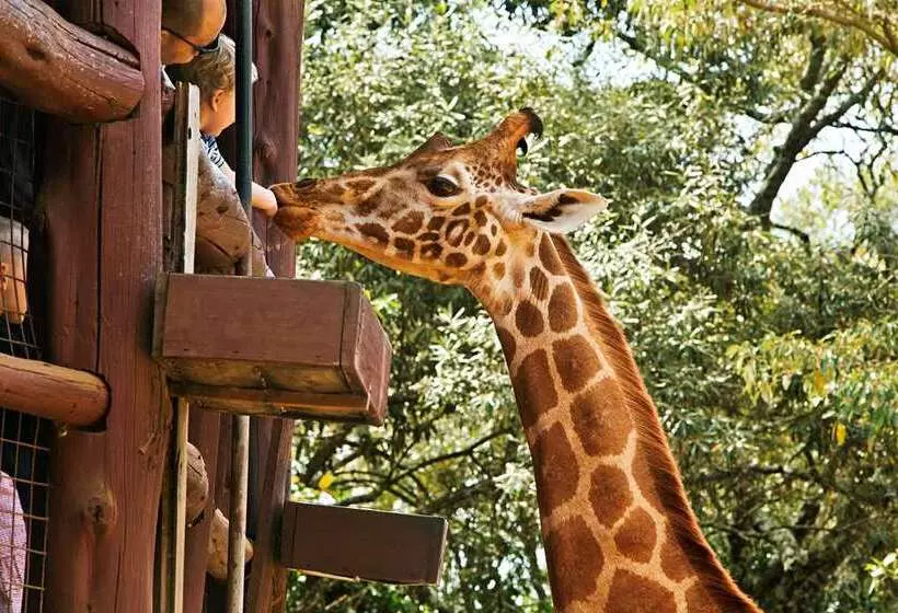 Fotos del hotel Hilton Nairobi:  6