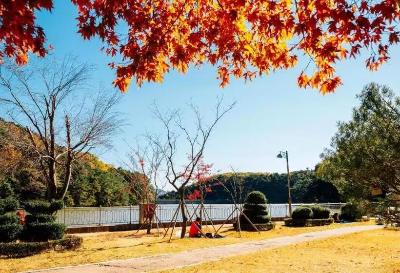 Fotos del hotel Shin Shin:  3