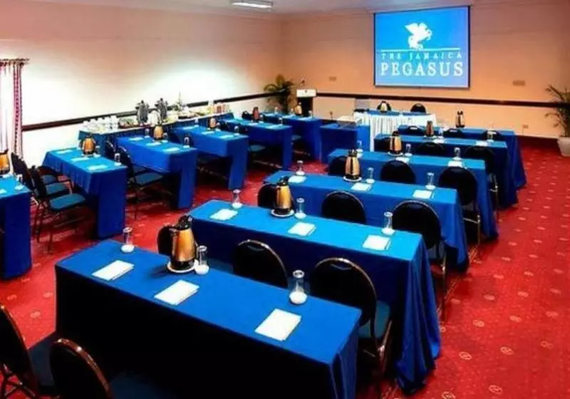 Fotos del hotel The Jamaica Pegasus:  8