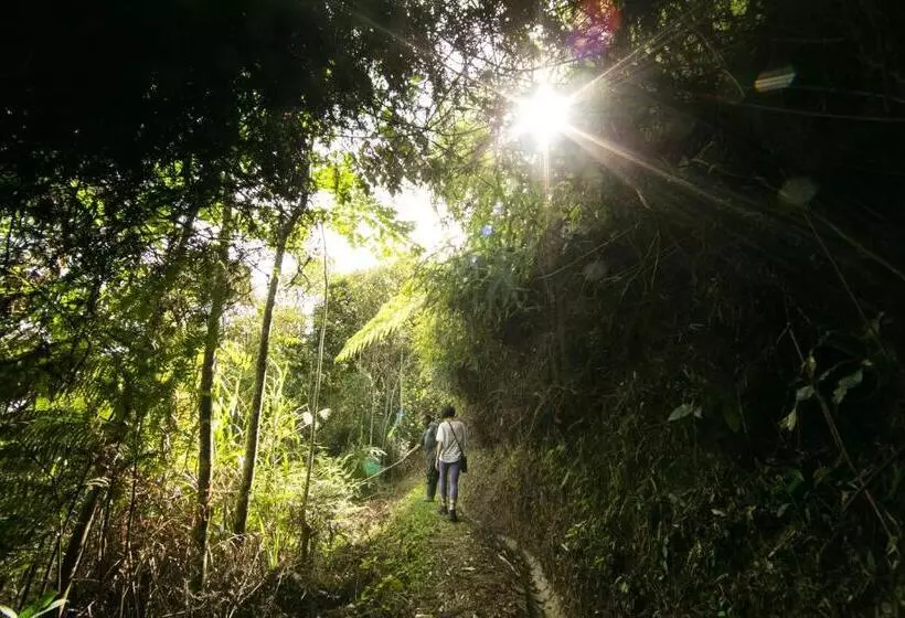 Fotos del hotel The Lakehouse Cameron Highlands:  18