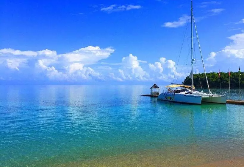 Fotos del hotel Shaw Park Beach  & Spa:  6