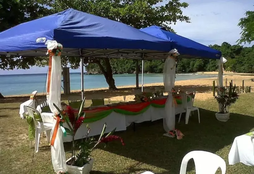 Fotos del hotel Shaw Park Beach  & Spa:  8