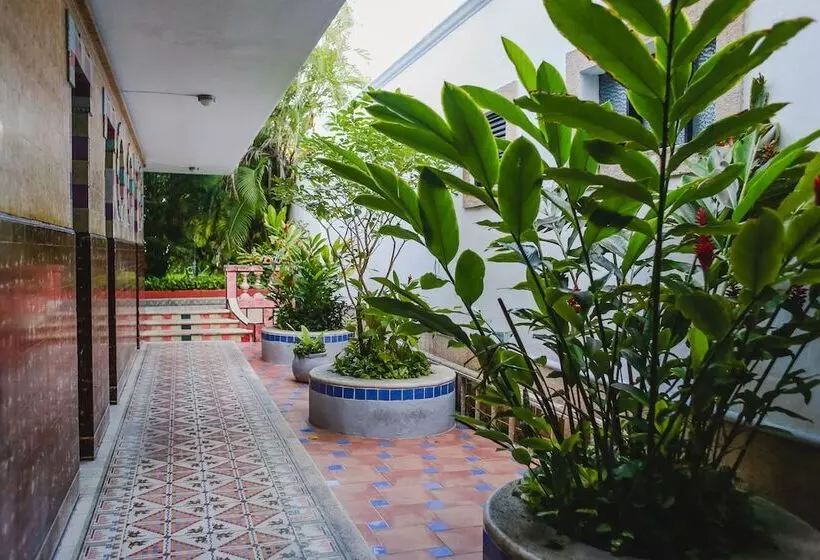 Fotos del hotel Colon Merida:  5