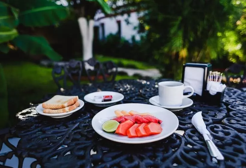 Fotos del hotel Colon Merida:  25