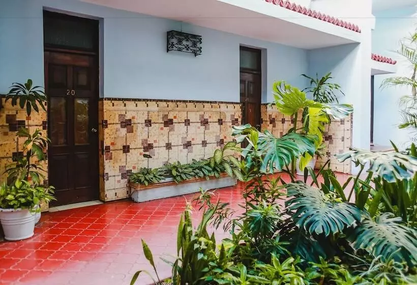 Fotos del hotel Colon Merida:  17