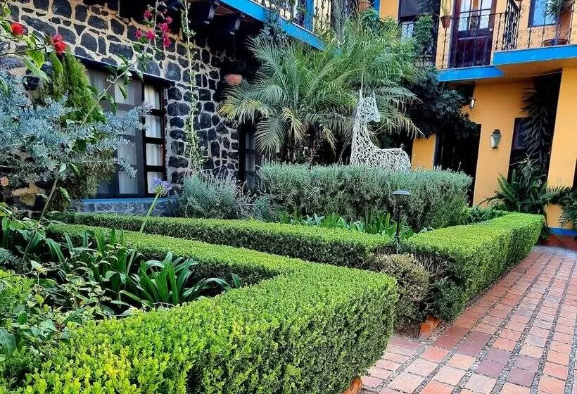 Fotos del hotel Hacienda De Las Flores:  22