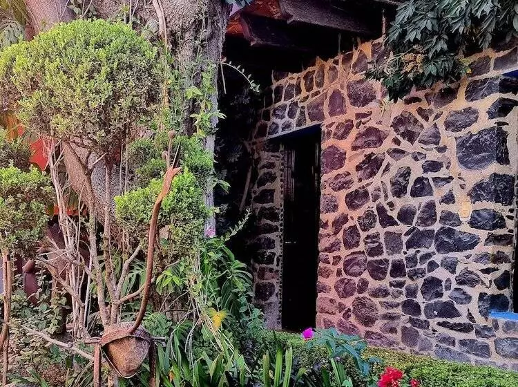 Fotos del hotel Hacienda De Las Flores:  21