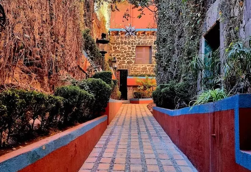 Fotos del hotel Hacienda De Las Flores:  23