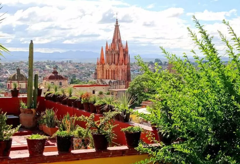 Fotos del hotel Hacienda De Las Flores:  14