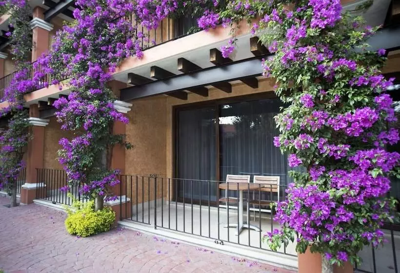 Fotos del hotel Hosteria Las Quintas  & Spa:  22