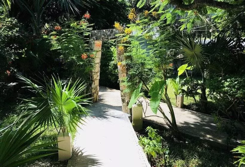 Fotos del hotel Maria S Kan Kin:  3