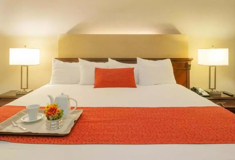 Fotos del hotel Stanza:  21