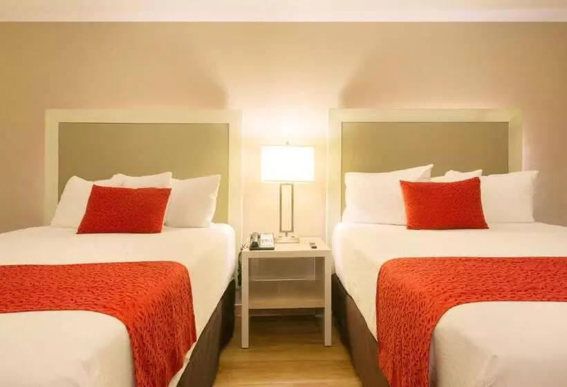 Fotos del hotel Stanza:  19