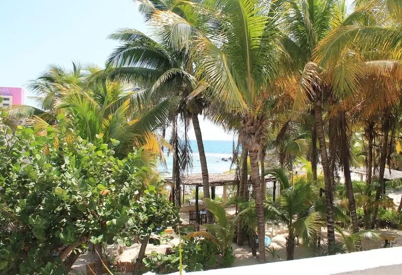 Fotos del hotel Villa Kiin:  8