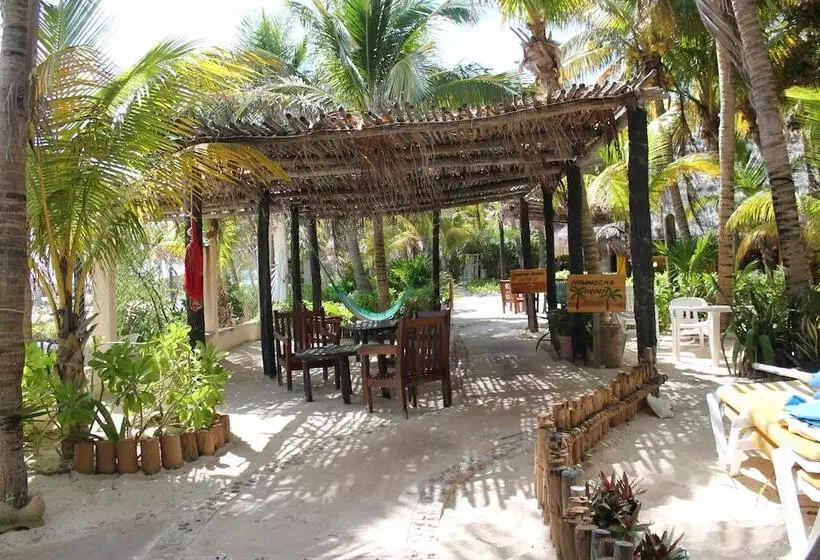 Fotos del hotel Villa Kiin:  4