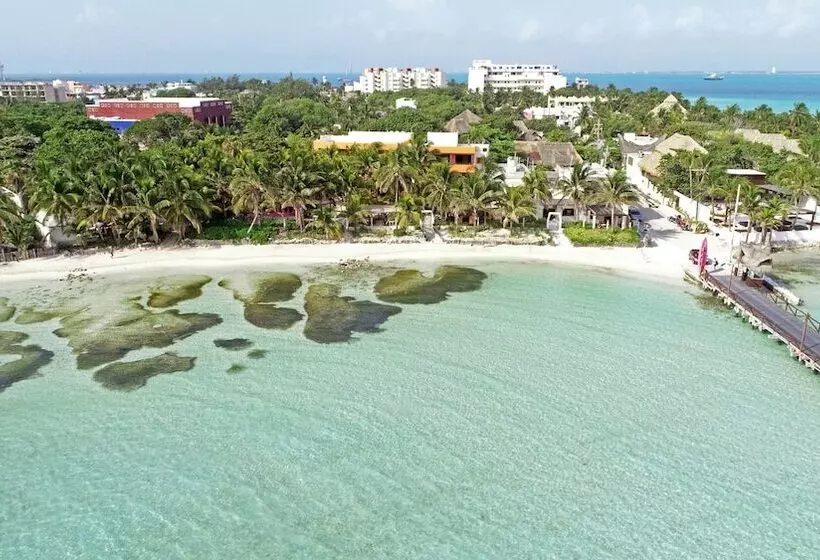 Fotos del hotel Villa Kiin:  13