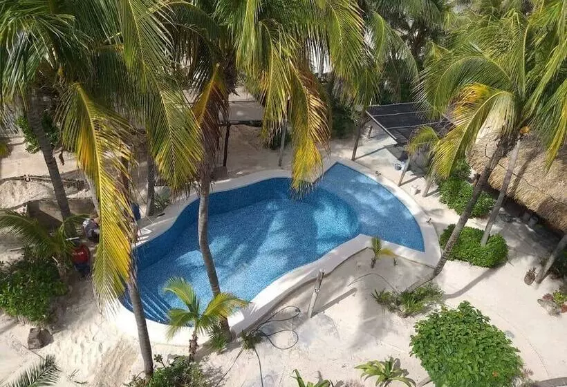 Fotos del hotel Villa Kiin:  3