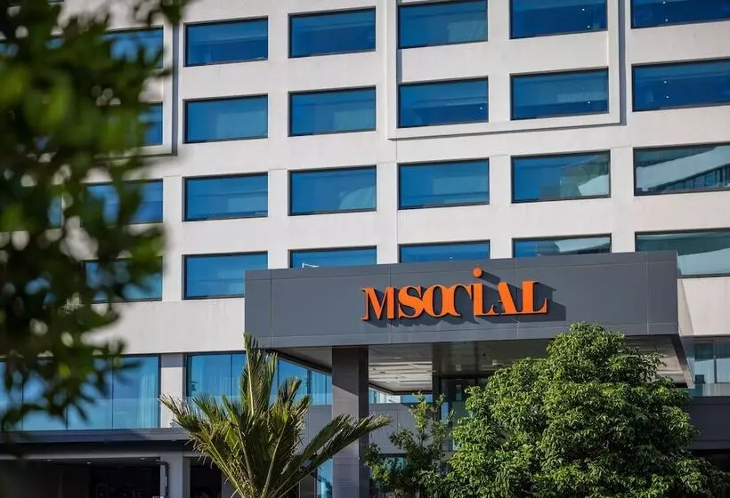 M Social Auckland