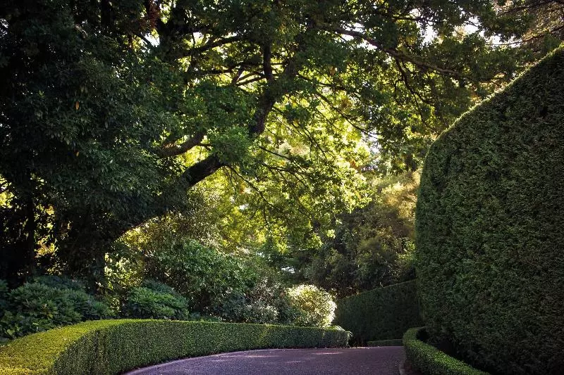 Fotos del hotel Huka Lodge:  18