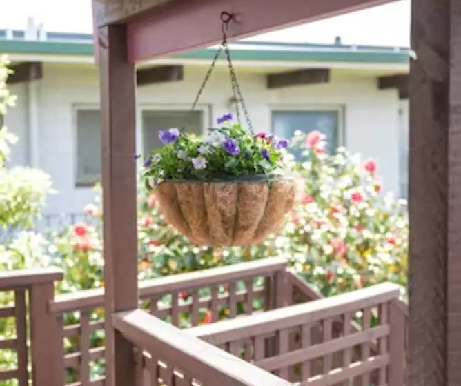 Fotos del hotel Strathern Motor Lodge:  18