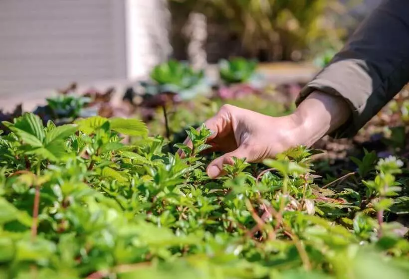 Fotos del hotel Novotel Porto Gaia:  6