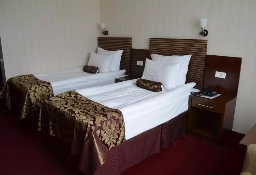 Fotos del hotel Grand Hotel Napoca:  17