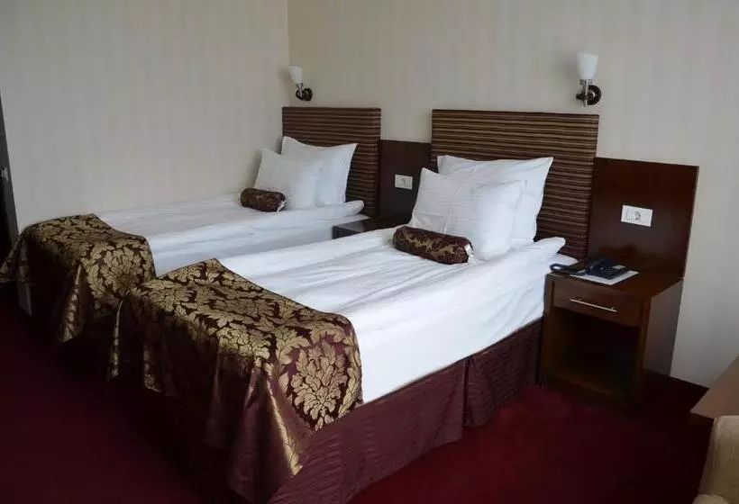 Fotos del hotel Grand Hotel Napoca:  12