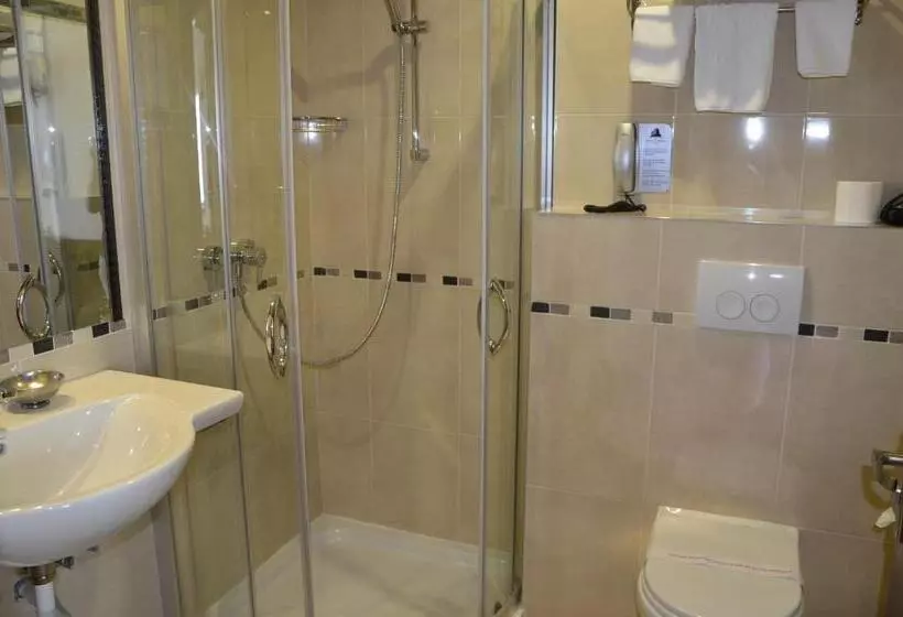 Fotos del hotel Grand Hotel Napoca:  5