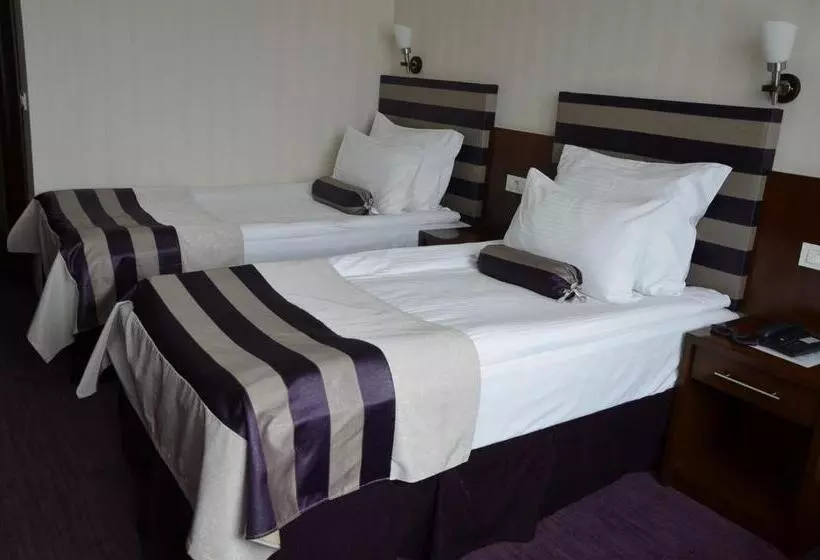 Fotos del hotel Grand Hotel Napoca:  15