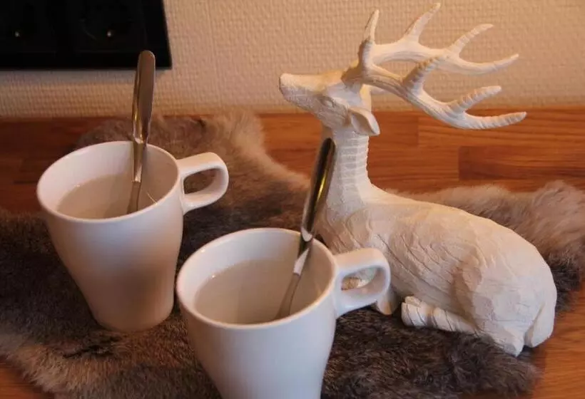 Fotos del hotel Aakenus:  16