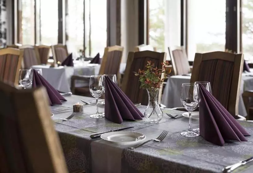 Fotos del hotel Lapland S Hetta:  4