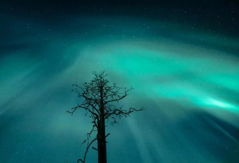 Fotos del hotel Lapland S Hetta:  14