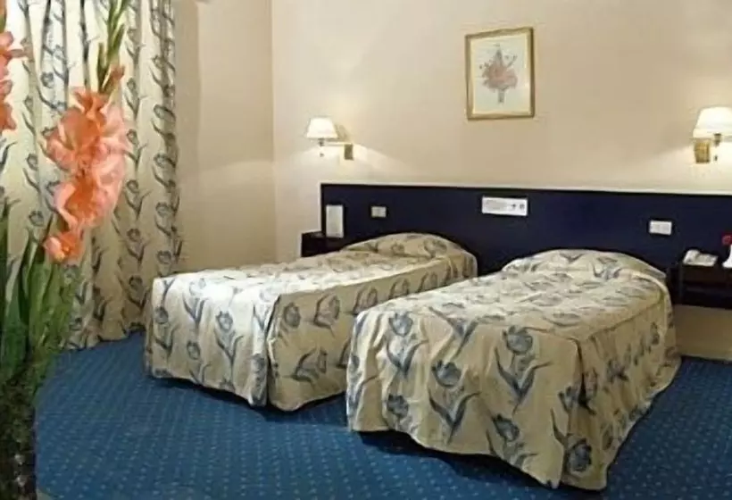 Fotos del hotel Concorde Hotel Dokki:  15