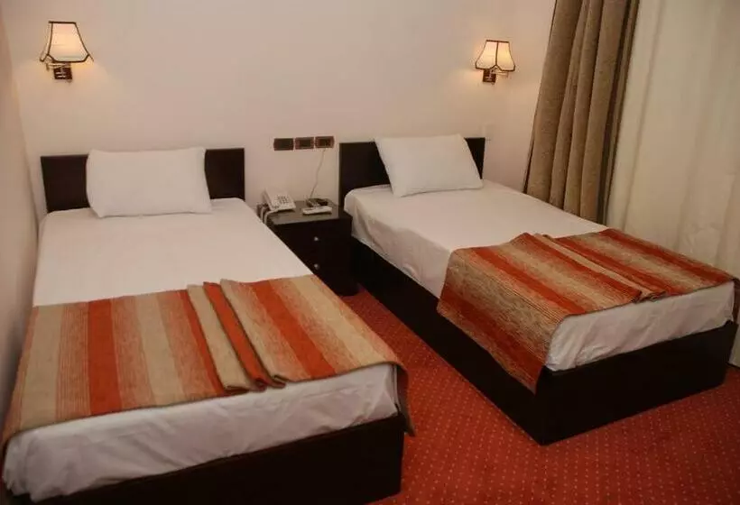 Fotos del hotel El Tonsy Cairo:  8