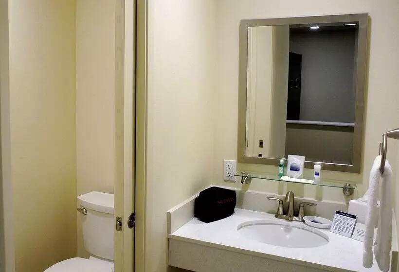 Fotos del hotel Best Western Seattle Airport:  9