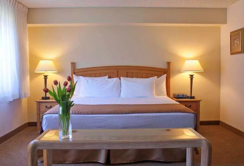 Fotos del hotel Best Western Seattle Airport:  20